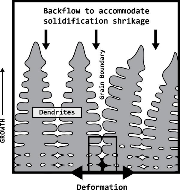 Understanding Solidification And Nucleation In Aluminum Alloys Figure 5 Schematic Of Primary Dendrite Formation
